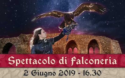 S. Marco d’Alunzio, giornata medioevale e spettacolo di falconeria